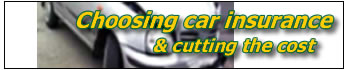 choosing car insurance - cutting the cost